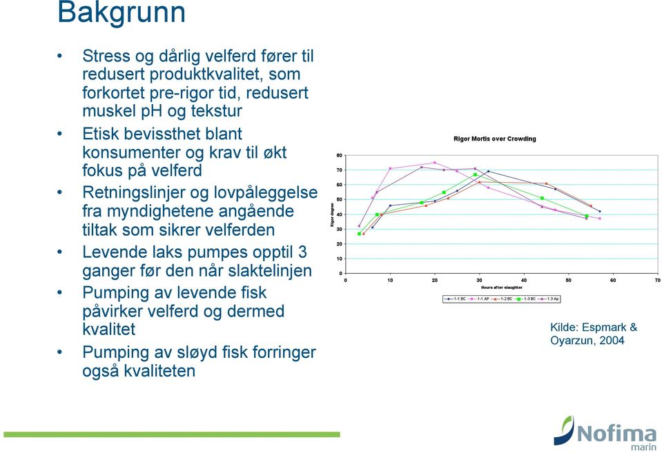 myndighetene angående tiltak som sikrer velferden Levende laks pumpes opptil 3 ganger før den når slaktelinjen Pumping