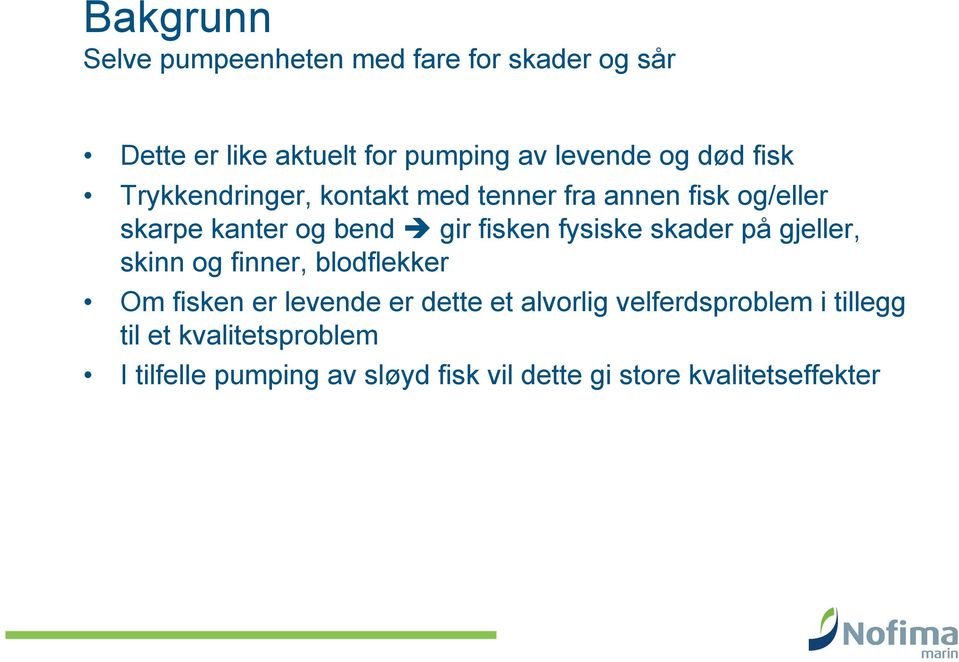 fysiske skader på gjeller, skinn og finner, blodflekker Om fisken er levende er dette et alvorlig