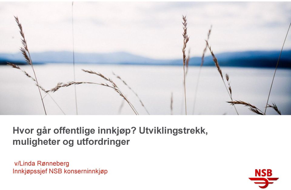 utfordringer v/linda Rønneberg