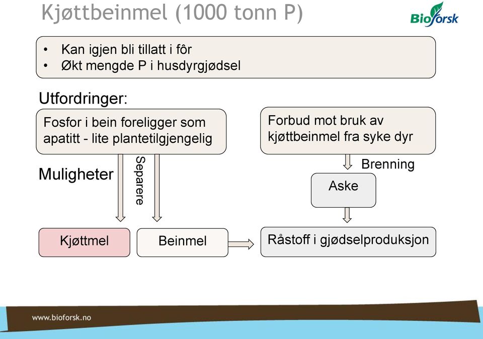 lite plantetilgjengelig Forbud mot bruk av kjøttbeinmel fra syke dyr