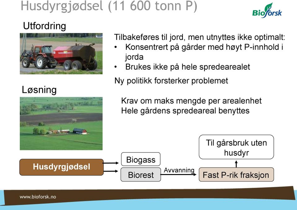 Ny politikk forsterker problemet Krav om maks mengde per arealenhet Hele gårdens spredeareal