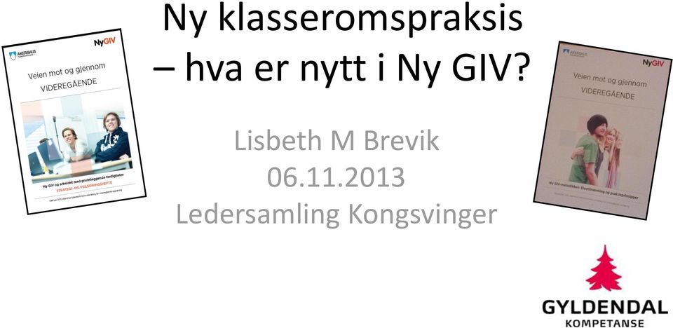 Lisbeth M Brevik 06.11.