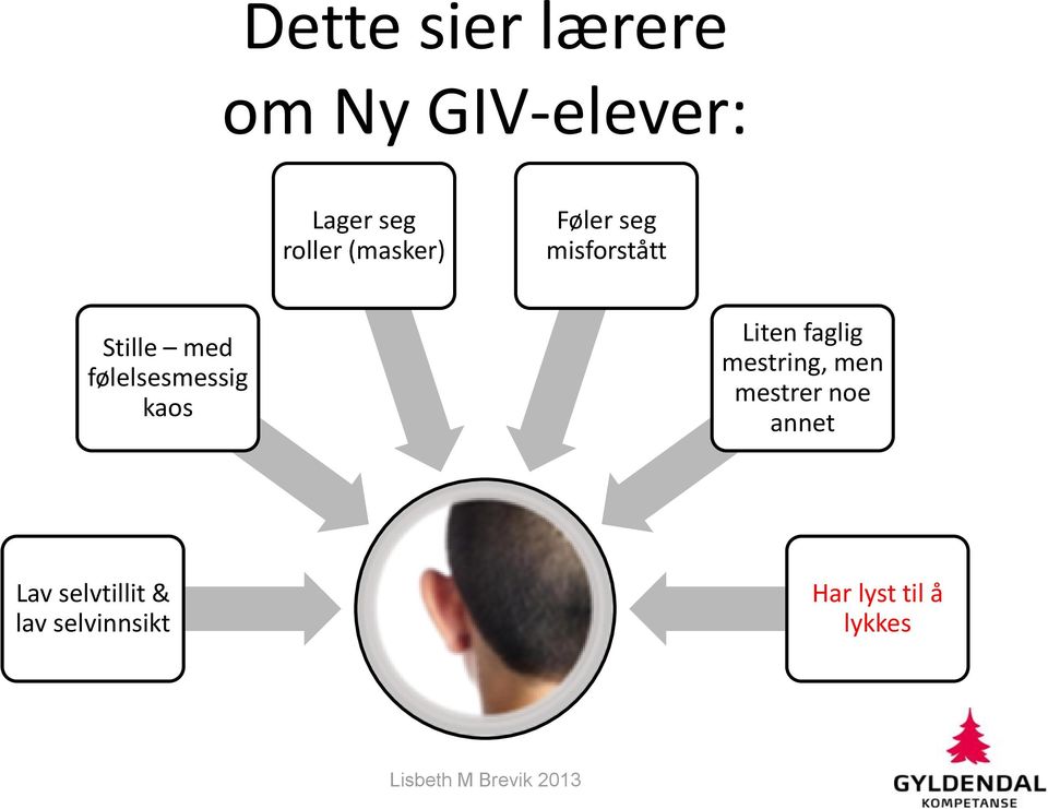 følelsesmessig kaos Liten faglig mestring, men