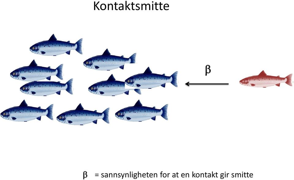 sannsynligheten