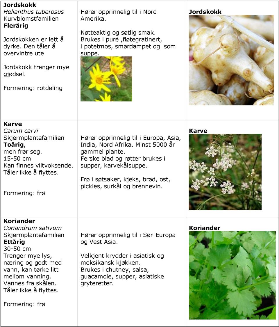 Tåler ikke å flyttes. Hører opprinnelig til i Europa, Asia, India, Nord Afrika. Minst 5000 år gammel plante. Ferske blad og røtter brukes i supper, karvekålsuppe.