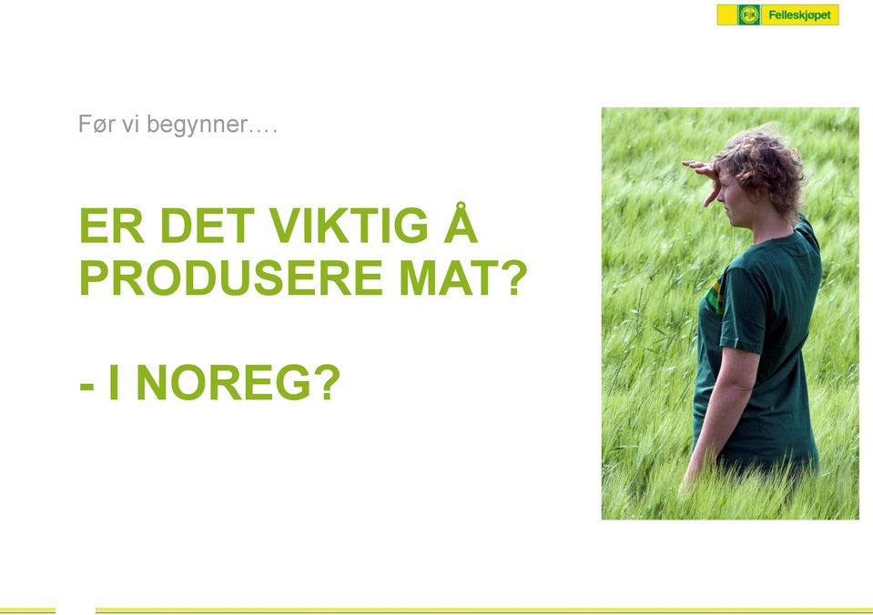 ER DET VIKTIG