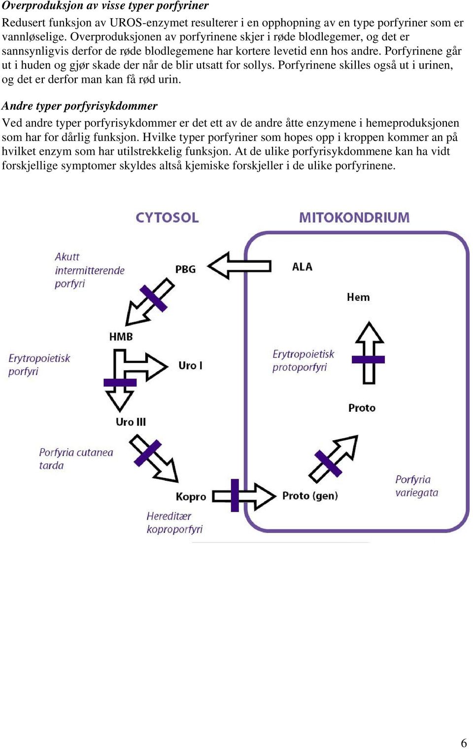 Porfyrinene går ut i huden og gjør skade der når de blir utsatt for sollys. Porfyrinene skilles også ut i urinen, og det er derfor man kan få rød urin.