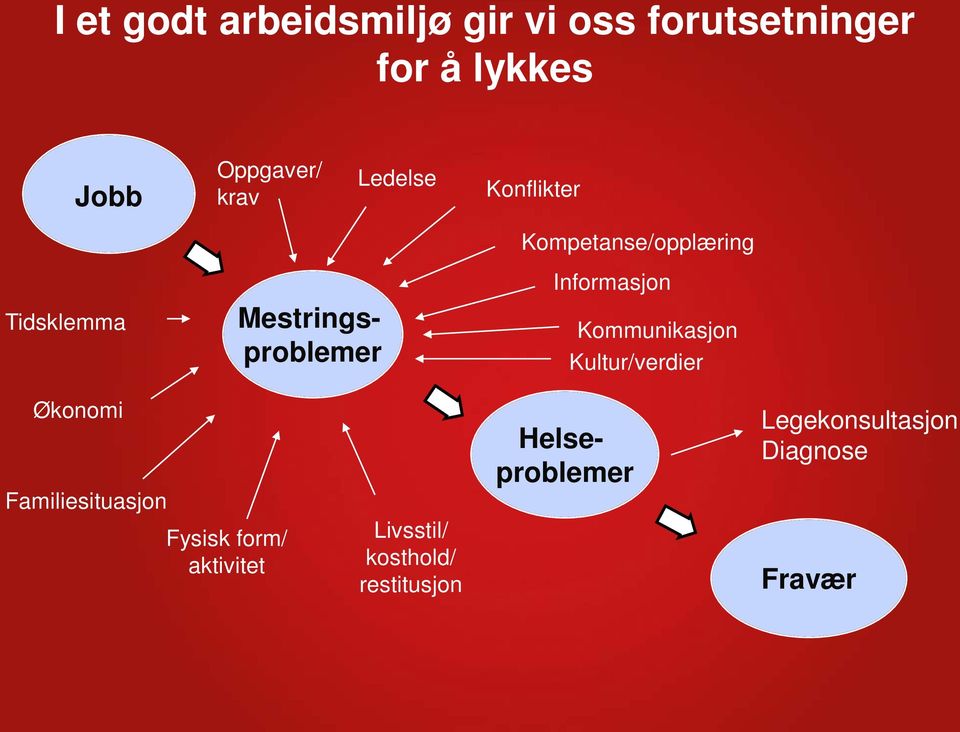 Informasjon Kommunikasjon Kultur/verdier Økonomi Familiesituasjon Fysisk form/