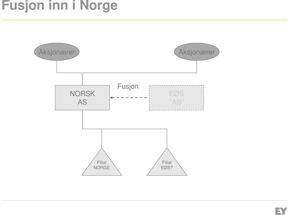 Fusjon EØS AS