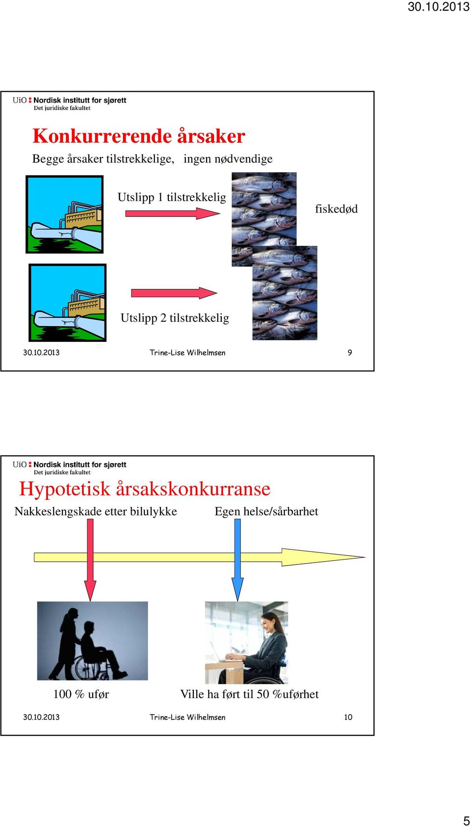 2013 Trine-Lise Wilhelmsen 9 Hypotetisk årsakskonkurranse Nakkeslengskade etter