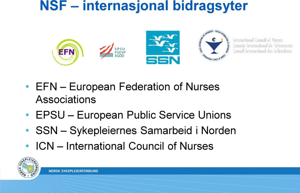 European Public Service Unions SSN