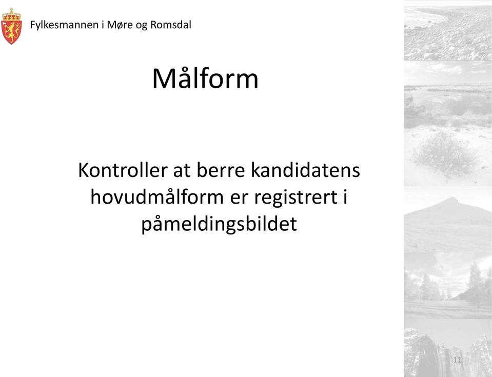 hovudmålform er