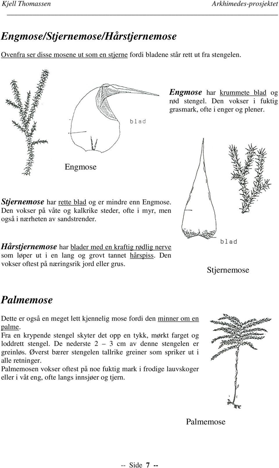 Den vokser på våte og kalkrike steder, ofte i myr, men også i nærheten av sandstrender. Hårstjernemose har blader med en kraftig rødlig nerve som løper ut i en lang og grovt tannet hårspiss.