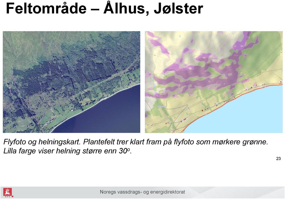 Plantefelt trer klart fram på flyfoto