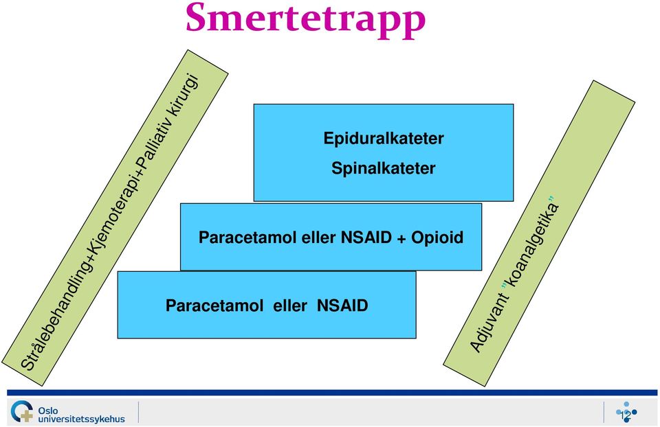 Strålebehandling+Kjemoterapi+Palliativ