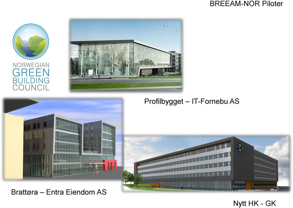 IT-Fornebu AS