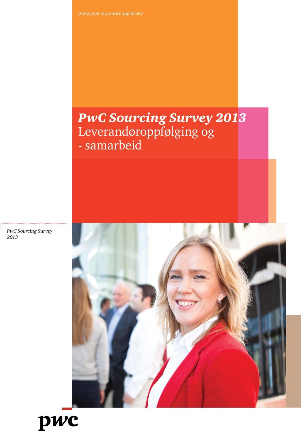 Sourcing Survey 2013
