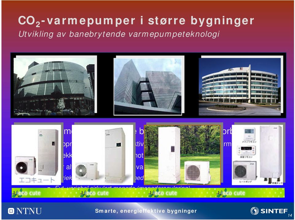 (2002-2006) CO 2 - varmepumper i større bygninger f.eks.