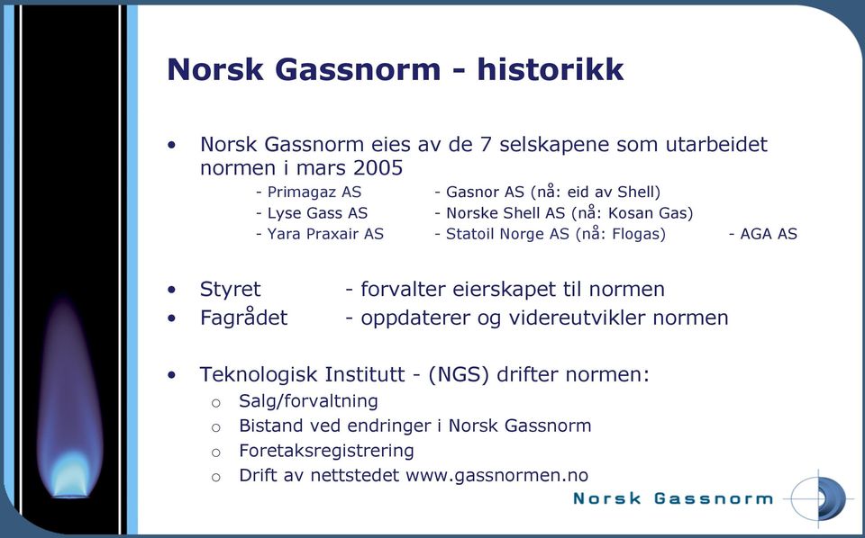 Styret - forvalter eierskapet til normen Fagrådet - oppdaterer og videreutvikler normen Teknologisk Institutt - (NGS) drifter