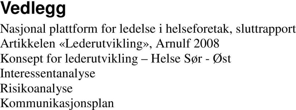 «Lederutvikling», Arnulf 2008 Konsept for