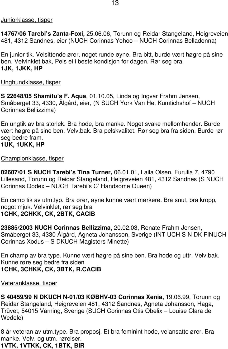 1JK, 1JKK, HP Unghundklasse, tisper S 22648/05 Shamitu s F. Aqua, 01.10.