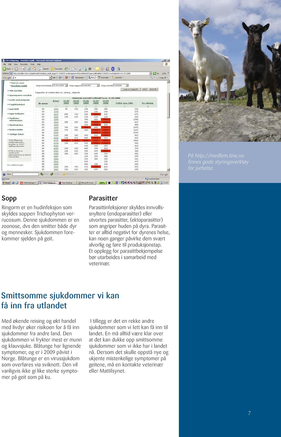 Parasitter Parasittinfeksjoner skyldes innvollssnyltere (endoparasitter) eller utvortes parasitter, (ektoparasitter) som angriper huden på dyra.