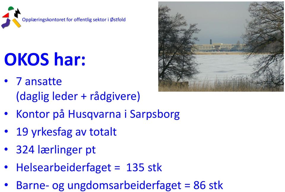 Husqvarna i Sarpsborg 19 yrkesfag av totalt 324 lærlinger