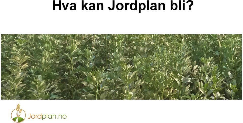 bli?