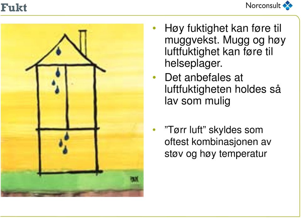 Det anbefales at luftfuktigheten holdes så lav som