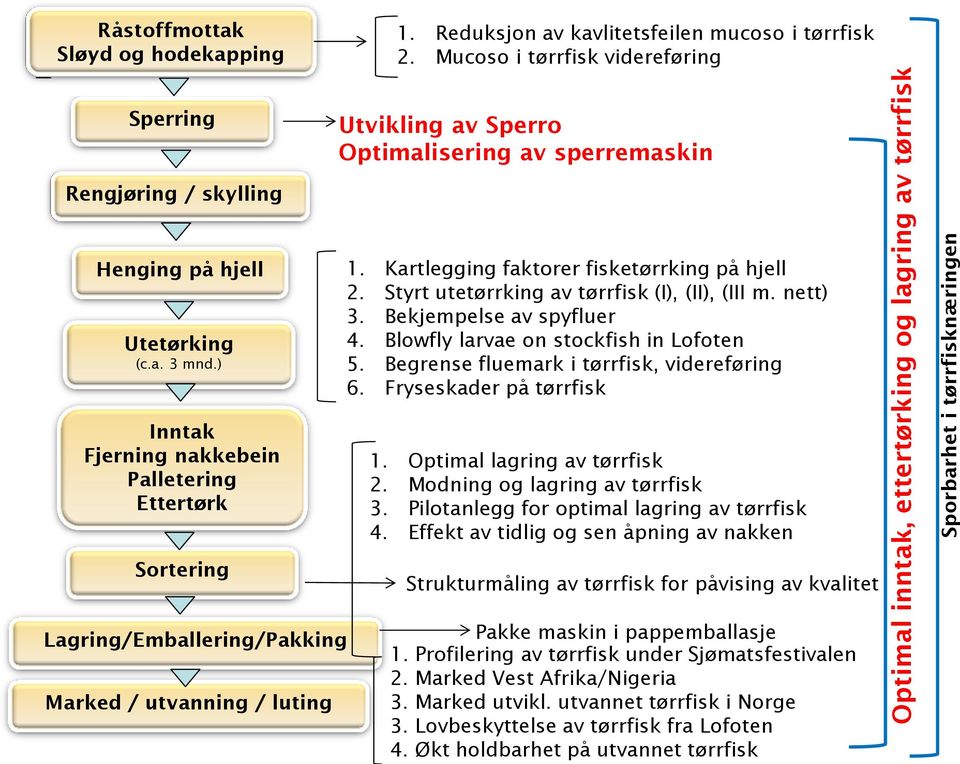 ) Inntak Fjerning nakkebein Palletering Ettertørk Sortering 1. Kartlegging faktorer fisketørrking på hjell 2. Styrt utetørrking av tørrfisk (I), (II), (III m. nett) 3. Bekjempelse av spyfluer 4.