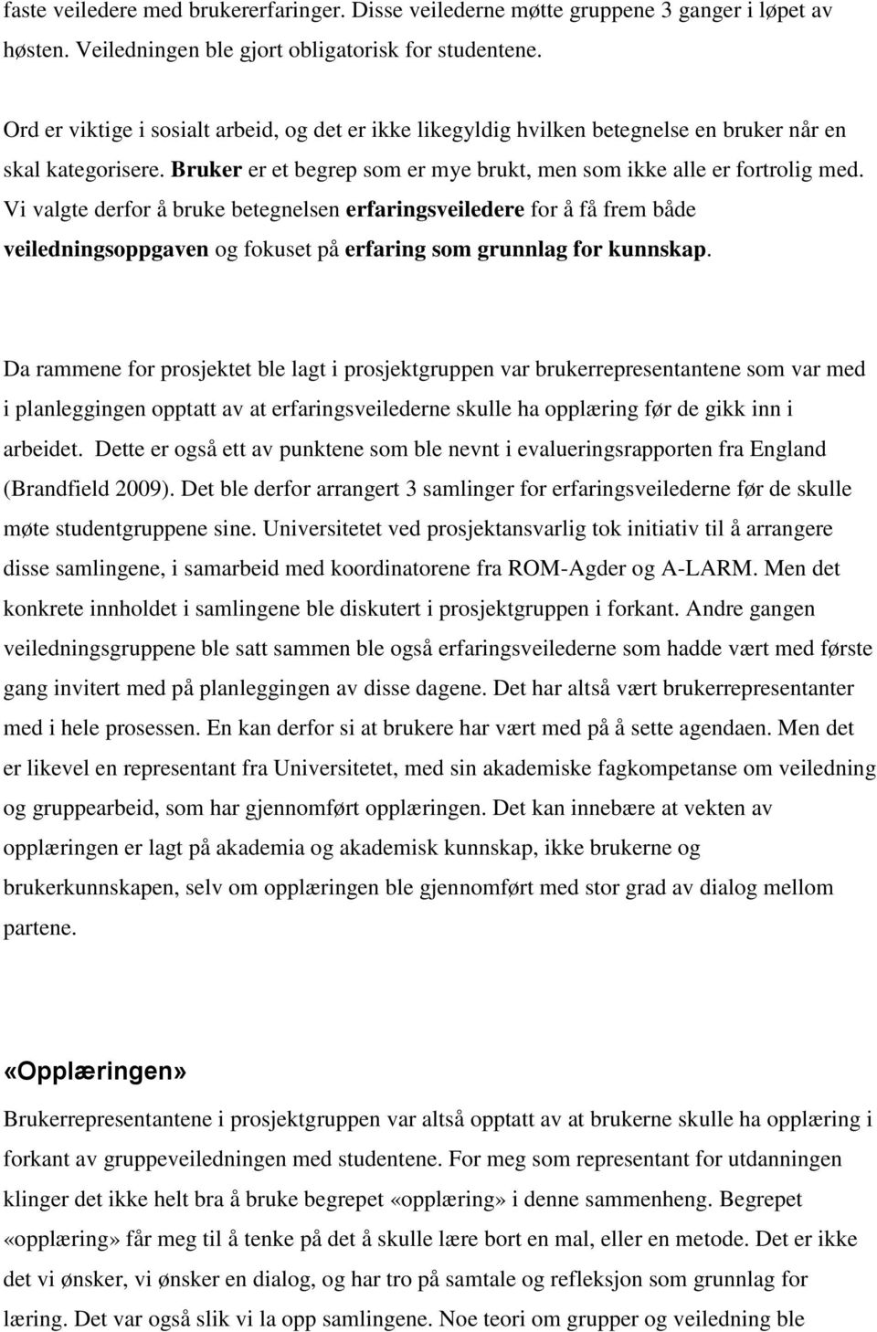 Vi valgte derfor å bruke betegnelsen erfaringsveiledere for å få frem både veiledningsoppgaven og fokuset på erfaring som grunnlag for kunnskap.