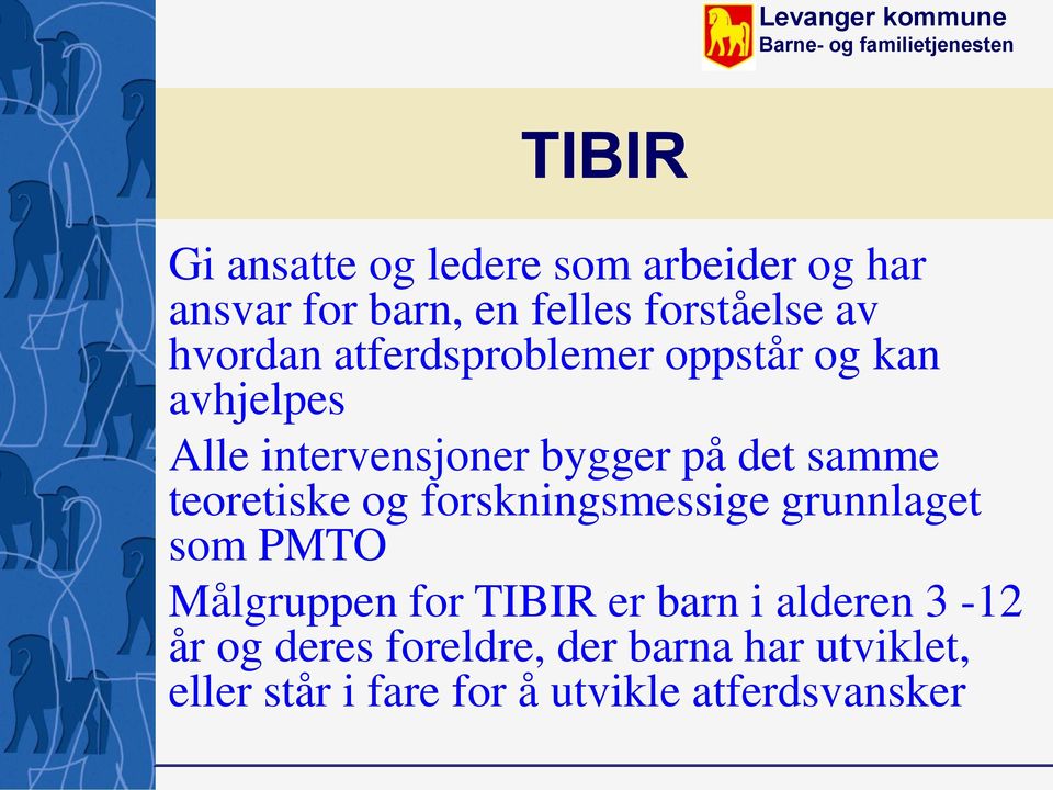 teoretiske og forskningsmessige grunnlaget som PMTO Målgruppen for TIBIR er barn i alderen