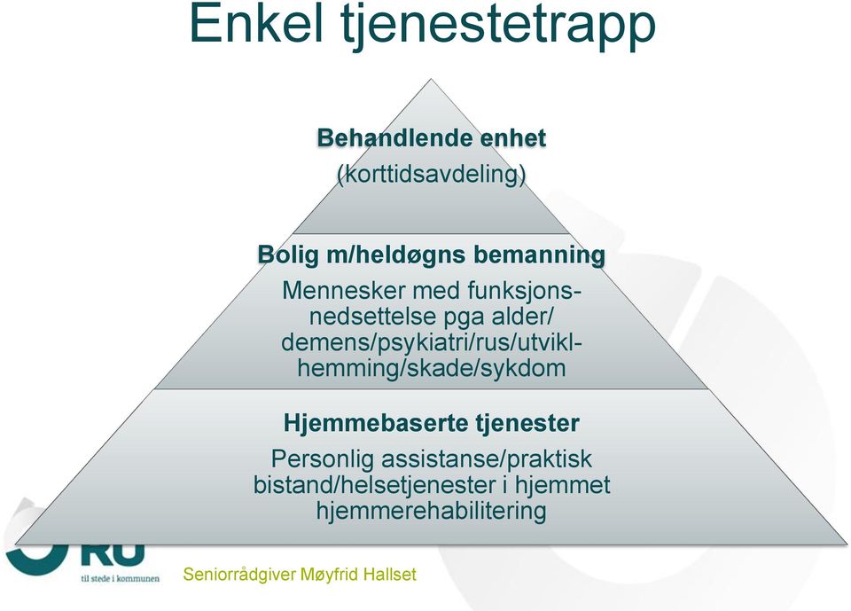 demens/psykiatri/rus/utviklhemming/skade/sykdom Hjemmebaserte tjenester