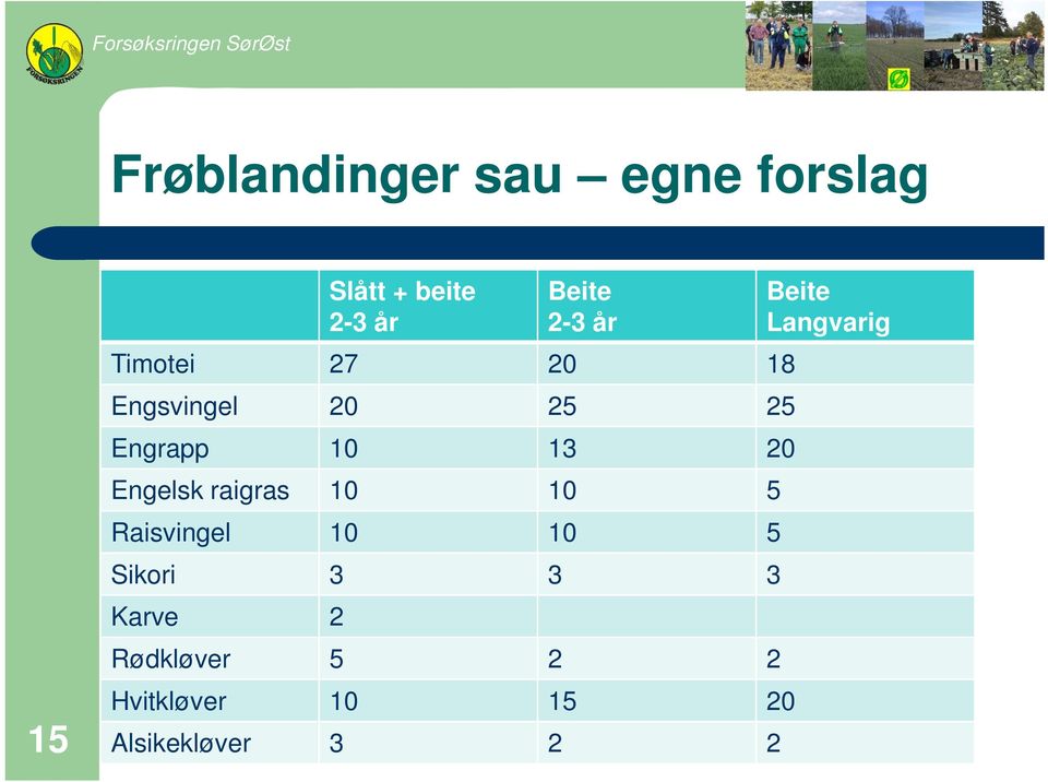 Engelsk raigras 10 10 5 Raisvingel 10 10 5 Sikori 3 3 3 Karve 2