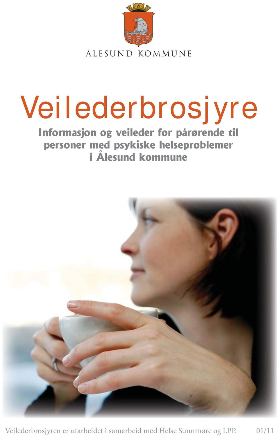 helseproblemer i Ålesund kommune Veilederbrosjyren
