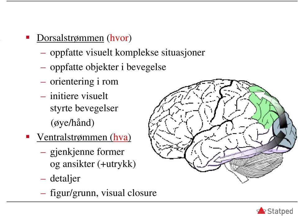 visuelt styrte bevegelser (øye/hånd) Ventralstrømmen (hva)