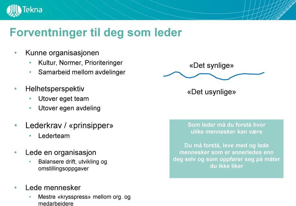 omstillingsoppgaver «Det synlige» «Det usynlige» Som leder må du forstå hvor ulike mennesker kan være Du må forstå, leve med og lede