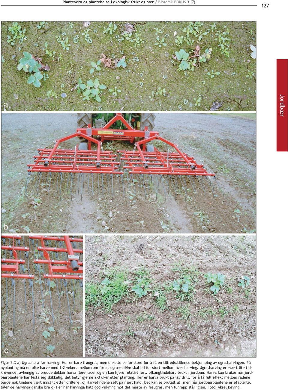Ugrasharving er svært lite tidkrevende, avhengig av bredde dekker harva flere rader og en kan kjøre relativt fort. b)langtindeharv brukt i jordbær.