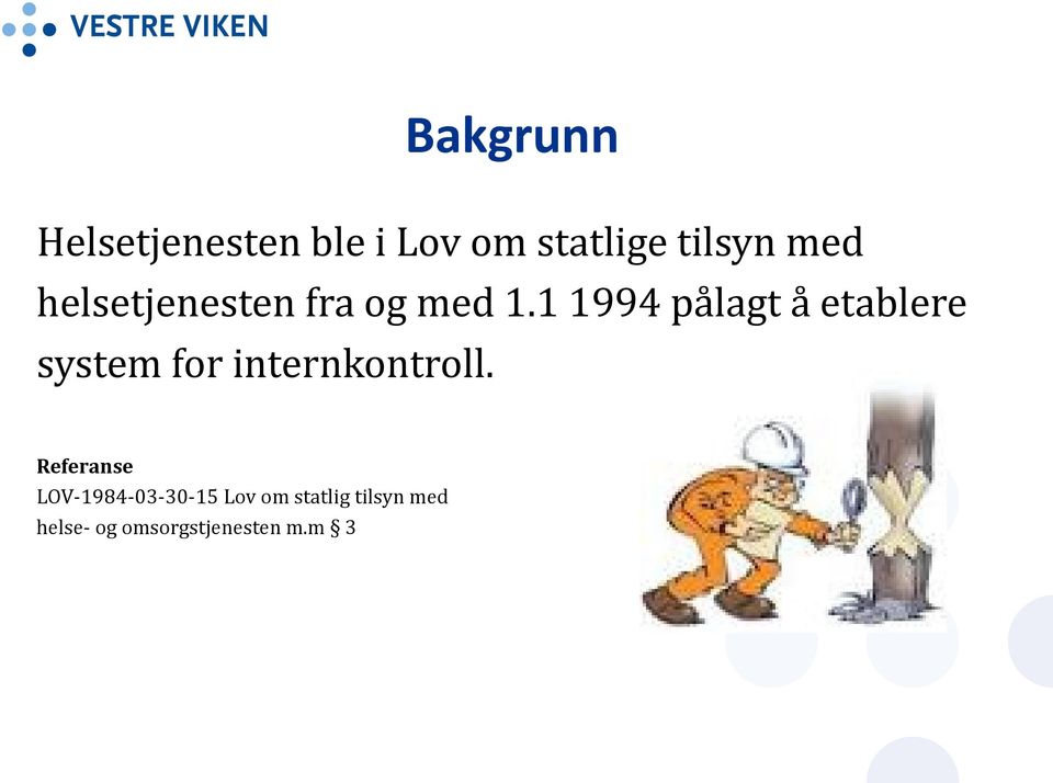 1 1994 pålagt å etablere system for internkontroll.