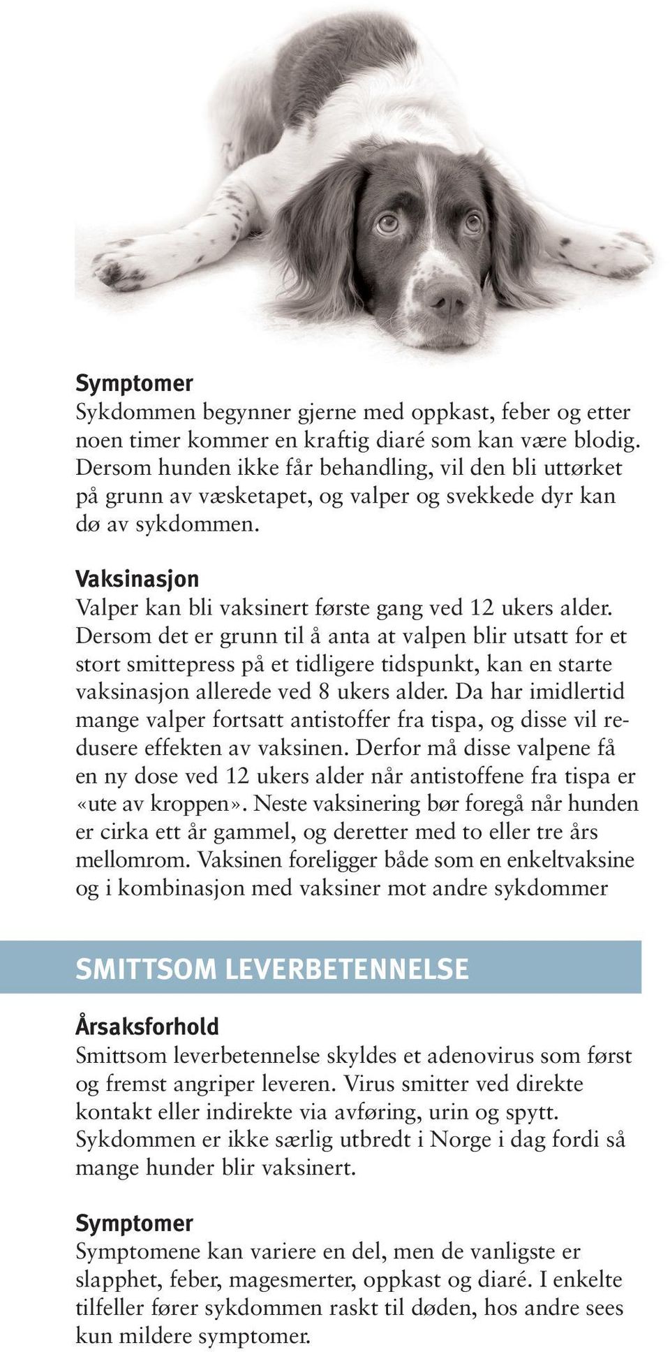 VAKSINASJON MOT ANDRE SYKDOMMMER - PDF Gratis nedlasting