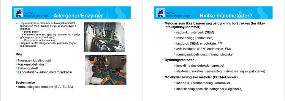 forsøksdyr Immunologiske metoder (EIA, ELISA) Hvilke målemetoder?