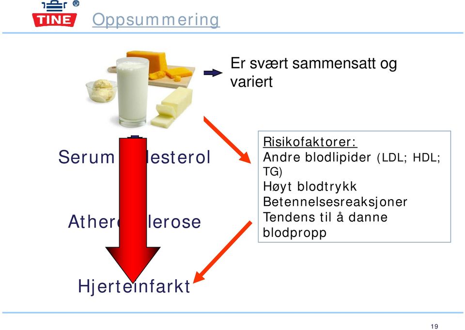 Andre blodlipider (LDL; HDL; TG) Høyt blodtrykk