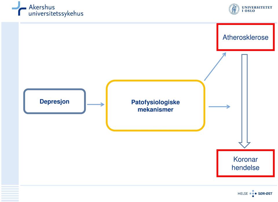 Patofysiologiske