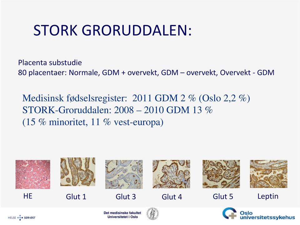 2011 GDM 2 % (Oslo 2,2 %) STORK-Groruddalen: 2008 2010 GDM 13 % (15
