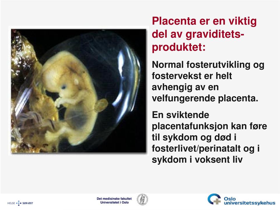 velfungerende placenta.