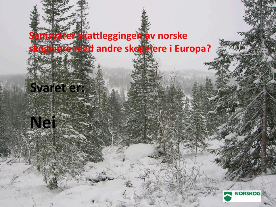 norske skogeiere med