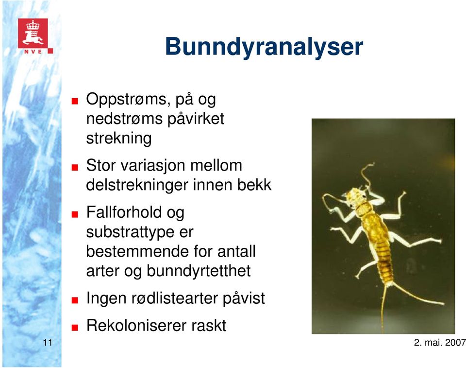 Fallforhold og substrattype er bestemmende for antall arter