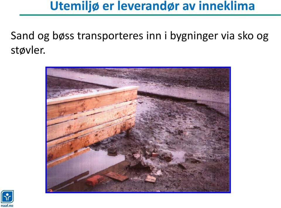 bøss transporteres inn i