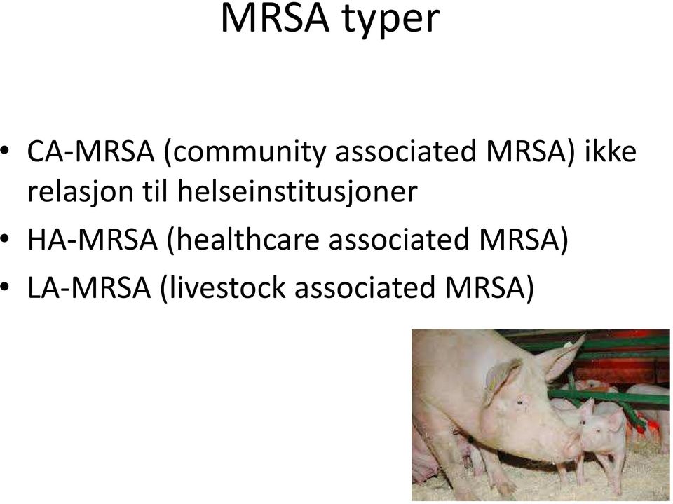 helseinstitusjoner HA-MRSA (healthcare