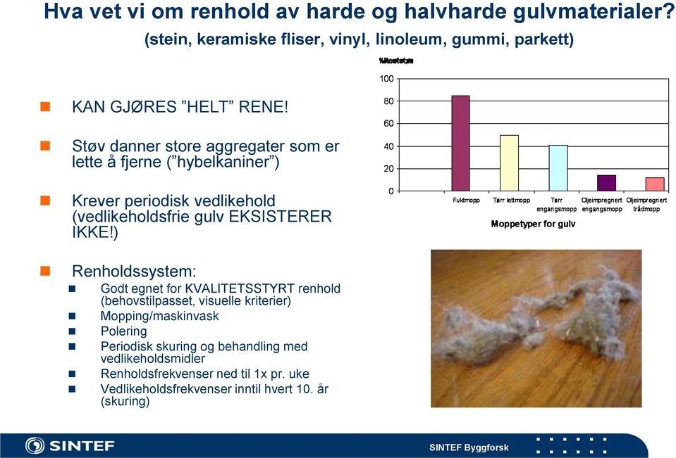 Støv danner store aggregater som er lette å fjerne ( hybelkaniner ) Krever periodisk vedlikehold (vedlikeholdsfrie gulv EKSISTERER IKKE!